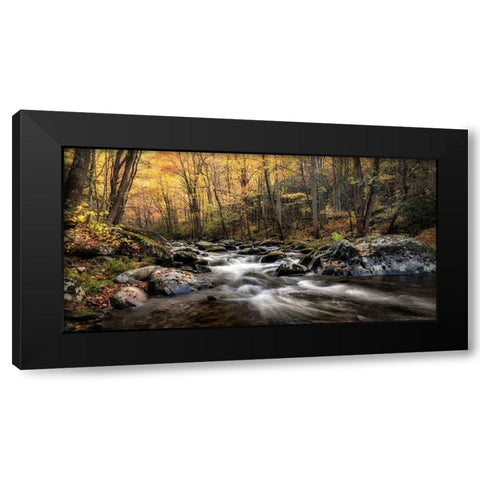 Morning Glow Black Modern Wood Framed Art Print by Head, Danny