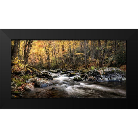 Morning Glow Black Modern Wood Framed Art Print by Head, Danny