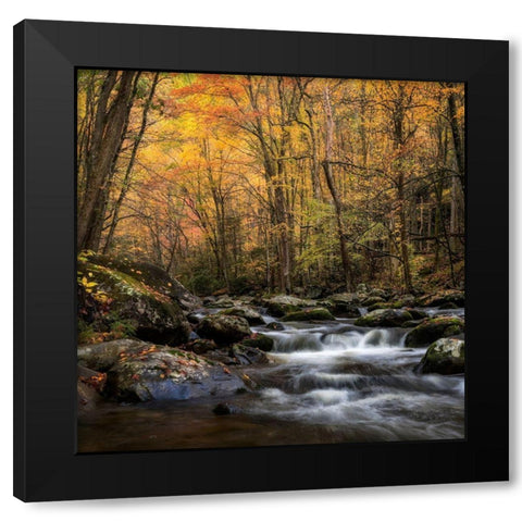 Golden Glow Black Modern Wood Framed Art Print with Double Matting by Head, Danny