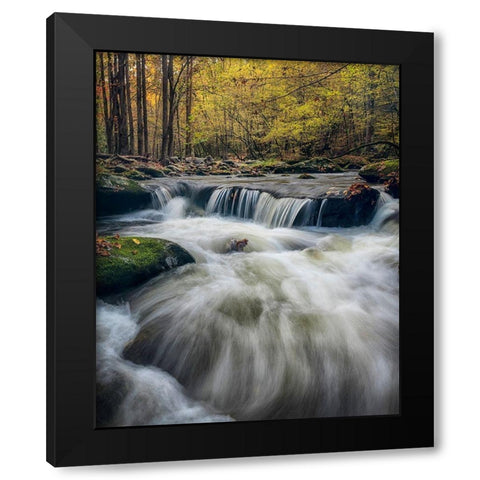 In Deep Black Modern Wood Framed Art Print by Head, Danny