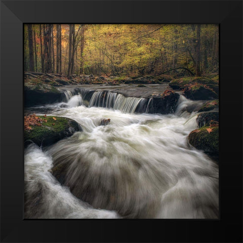 Churning Black Modern Wood Framed Art Print by Head, Danny