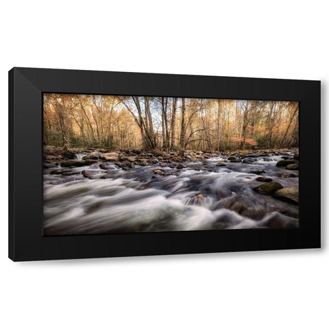 Rivers Fork Black Modern Wood Framed Art Print by Head, Danny