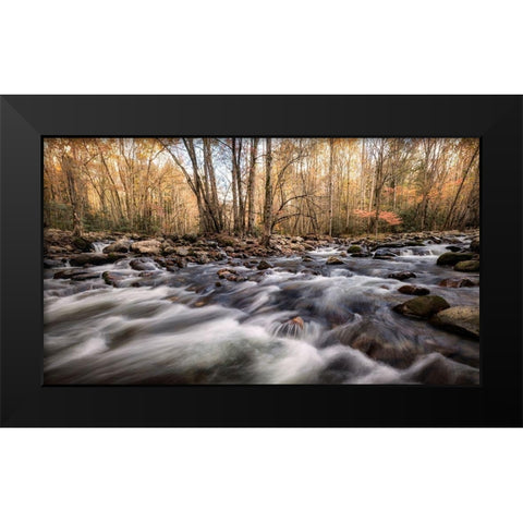 Rivers Fork Black Modern Wood Framed Art Print by Head, Danny