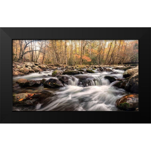 Autumn at Porters Creek Black Modern Wood Framed Art Print by Head, Danny