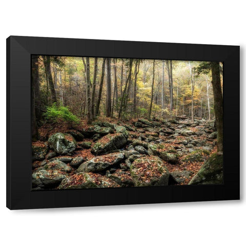 Dry Creek Black Modern Wood Framed Art Print by Head, Danny