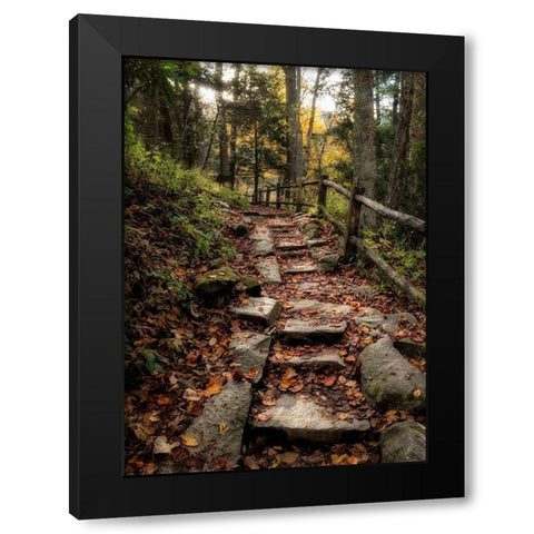 Step It Up Black Modern Wood Framed Art Print with Double Matting by Head, Danny