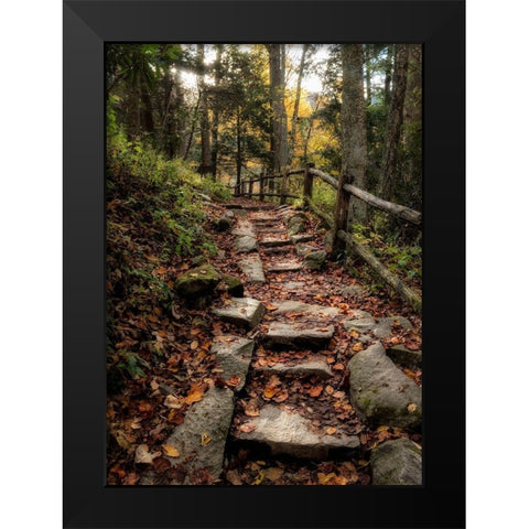 Step It Up Black Modern Wood Framed Art Print by Head, Danny