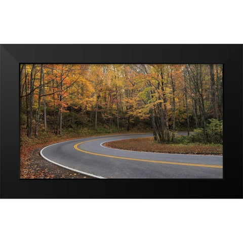 Mountain Loop Black Modern Wood Framed Art Print by Head, Danny