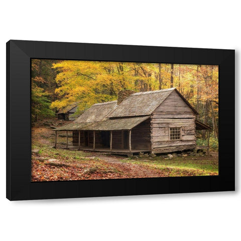 Buds Place Black Modern Wood Framed Art Print with Double Matting by Head, Danny