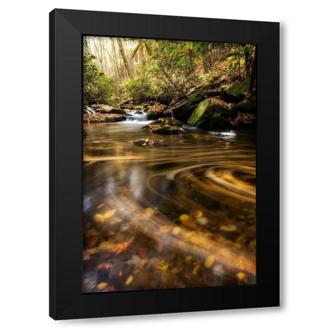 Moving Autumn II Black Modern Wood Framed Art Print by Head, Danny