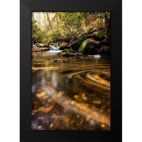 Moving Autumn II Black Modern Wood Framed Art Print by Head, Danny
