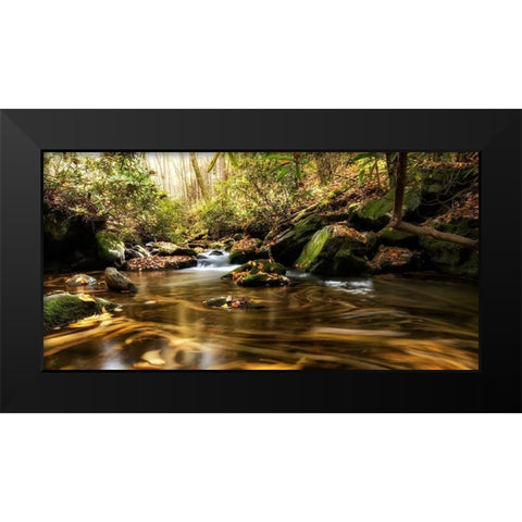 Moving Autumn III Black Modern Wood Framed Art Print by Head, Danny