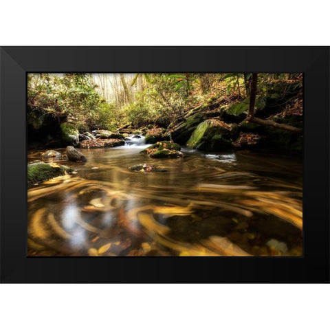 Moving Autumn IV Black Modern Wood Framed Art Print by Head, Danny