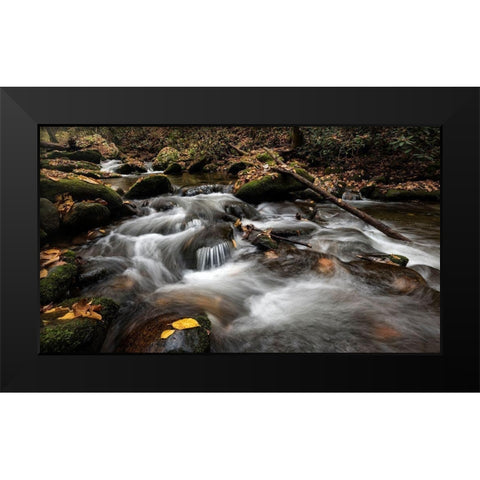 Fallen Leaves II Black Modern Wood Framed Art Print by Head, Danny