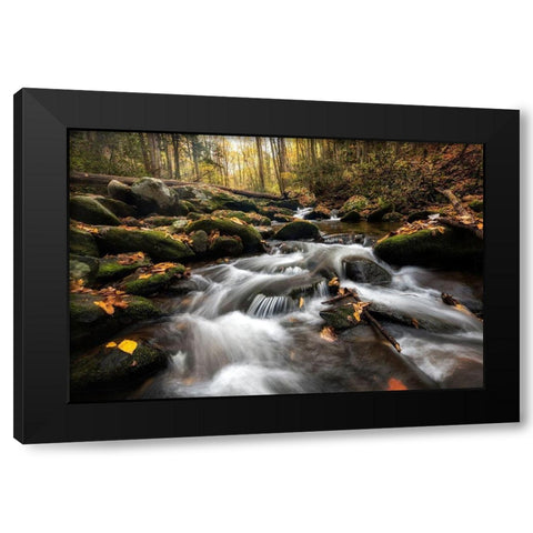 Fallen Leaves III Black Modern Wood Framed Art Print by Head, Danny