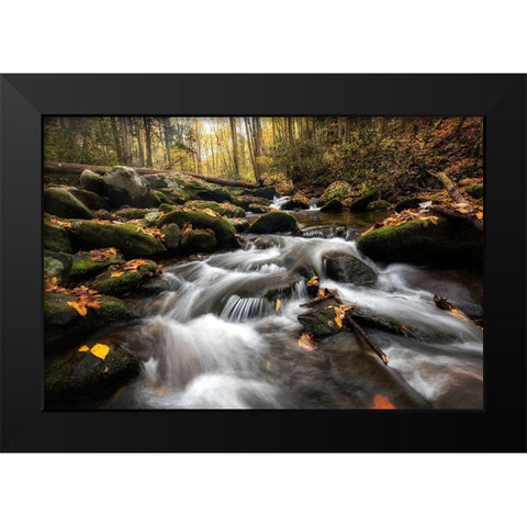 Fallen Leaves III Black Modern Wood Framed Art Print by Head, Danny
