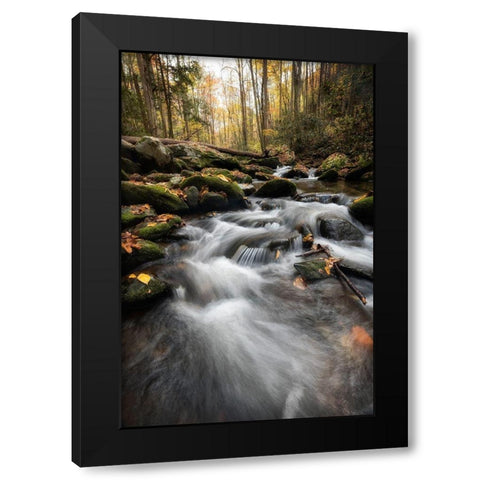 Fallen  Leaves IV Black Modern Wood Framed Art Print by Head, Danny