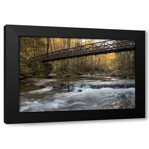 Bridge to Autumn I Black Modern Wood Framed Art Print by Head, Danny