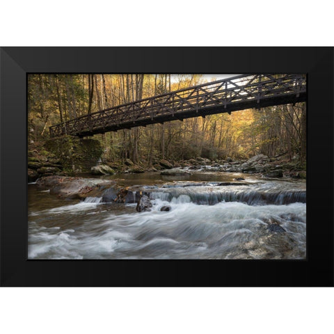 Bridge to Autumn I Black Modern Wood Framed Art Print by Head, Danny