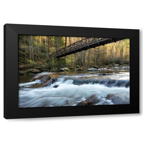 Bridge to Autumn II Black Modern Wood Framed Art Print by Head, Danny