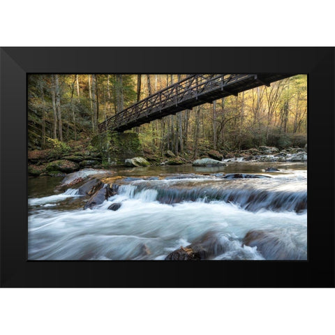Bridge to Autumn II Black Modern Wood Framed Art Print by Head, Danny