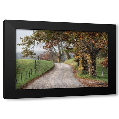 Hyatt Lane I Black Modern Wood Framed Art Print by Head, Danny