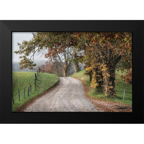 Hyatt Lane I Black Modern Wood Framed Art Print by Head, Danny