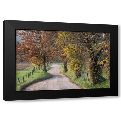 Hyatt Lane III Black Modern Wood Framed Art Print with Double Matting by Head, Danny