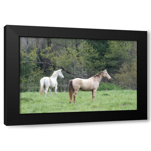 Buddies II Black Modern Wood Framed Art Print with Double Matting by Head, Danny