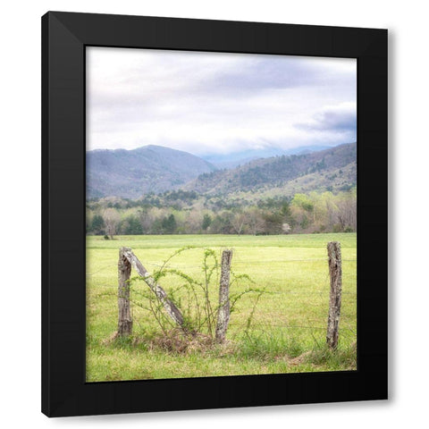 Cove Fence Black Modern Wood Framed Art Print by Head, Danny
