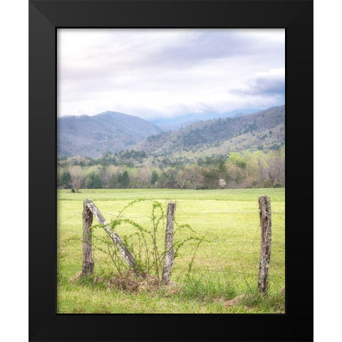 Cove Fence Black Modern Wood Framed Art Print by Head, Danny