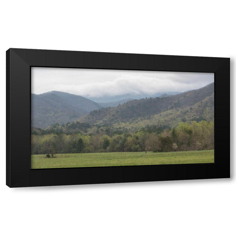 In the Cove Black Modern Wood Framed Art Print by Head, Danny