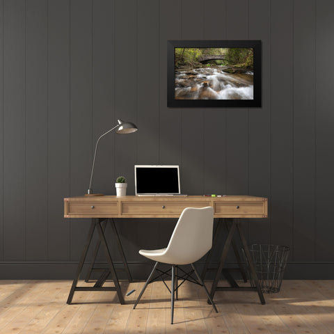 Cool Running Black Modern Wood Framed Art Print by Head, Danny