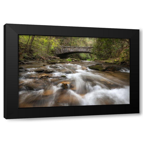 Cool Running Black Modern Wood Framed Art Print by Head, Danny