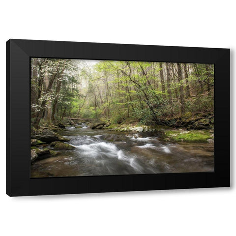 Spring Awakening II Black Modern Wood Framed Art Print with Double Matting by Head, Danny
