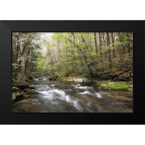 Spring Awakening II Black Modern Wood Framed Art Print by Head, Danny