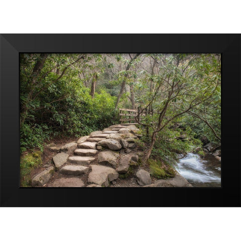 Stone Steps Black Modern Wood Framed Art Print by Head, Danny
