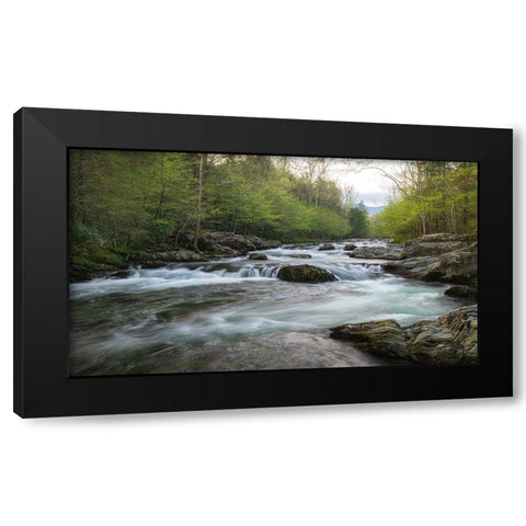 Aqua Black Modern Wood Framed Art Print with Double Matting by Head, Danny