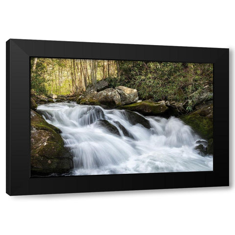 Sudden Drop Black Modern Wood Framed Art Print by Head, Danny