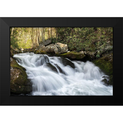 Sudden Drop Black Modern Wood Framed Art Print by Head, Danny