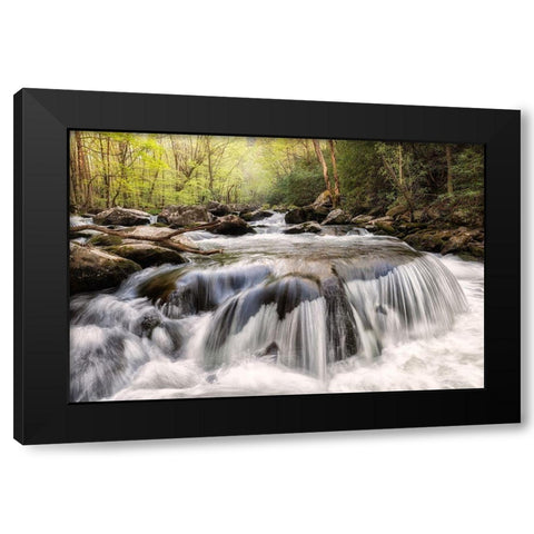 Mushroom Rock Black Modern Wood Framed Art Print by Head, Danny