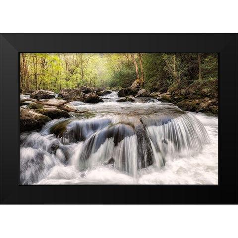 Mushroom Rock Black Modern Wood Framed Art Print by Head, Danny