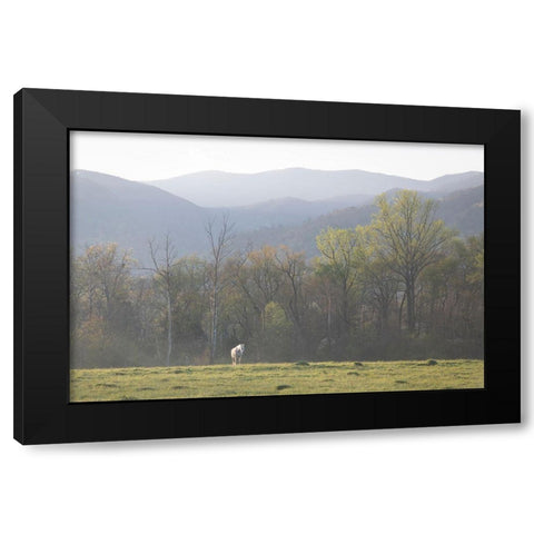 Standing Alone Black Modern Wood Framed Art Print by Head, Danny