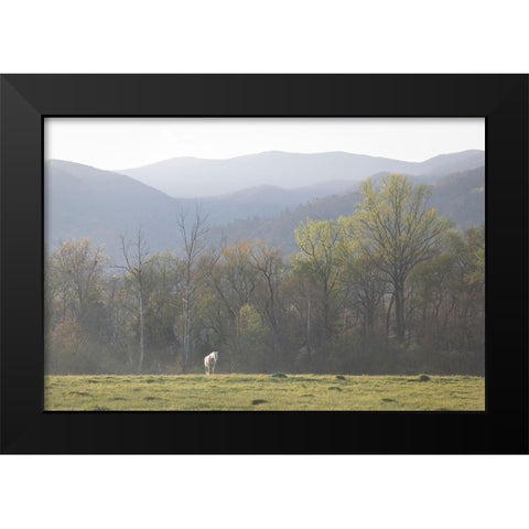 Standing Alone Black Modern Wood Framed Art Print by Head, Danny