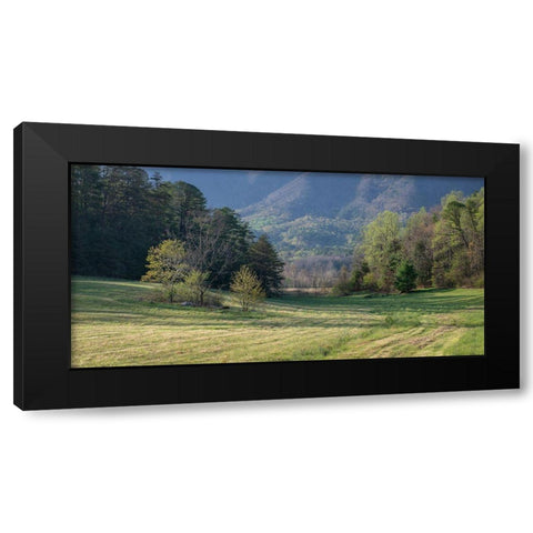 Valley View Black Modern Wood Framed Art Print by Head, Danny
