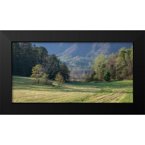 Valley View Black Modern Wood Framed Art Print by Head, Danny