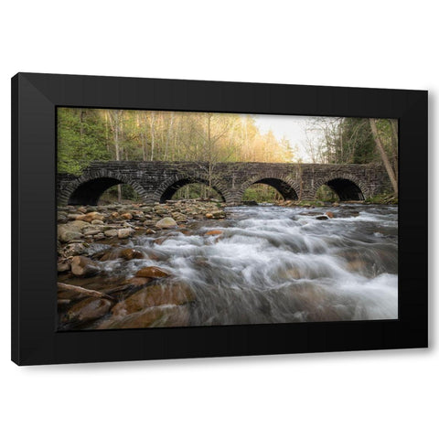 Four Arches Black Modern Wood Framed Art Print by Head, Danny