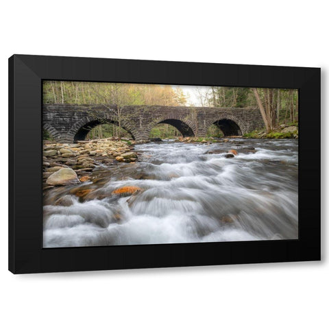 Stone Bridge Black Modern Wood Framed Art Print by Head, Danny