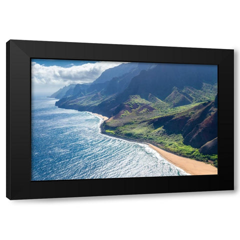 Paradise Black Modern Wood Framed Art Print by Head, Danny