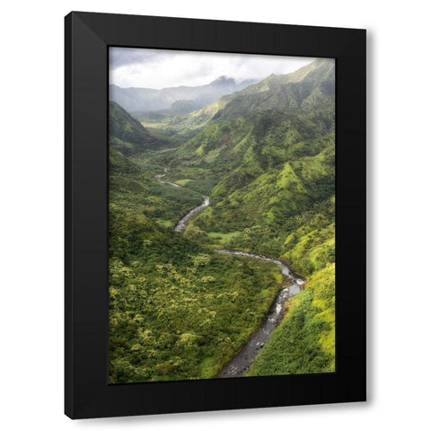 Hanalei Valley I Black Modern Wood Framed Art Print with Double Matting by Head, Danny